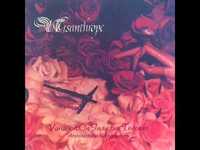 pochette album The grey orchard