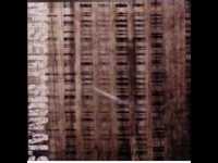 pochette album Lie captive