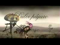 pochette album Bird of passage