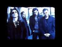 pochette album Blood brother