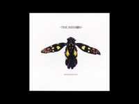 pochette album Chelsea blue