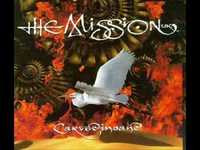 pochette album Sea of love