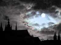 pochette album Stars don't shine without you