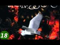 pochette album Still deep waters