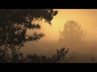 pochette album Lord i want you