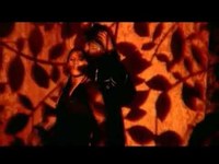 pochette album All life long