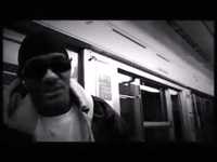 pochette album Cobra