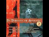 pochette album Let's go free (live '95)