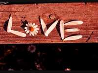 pochette album For the love ones