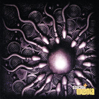 pochette album Manto estelar