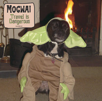 pochette album Travel is dangerous