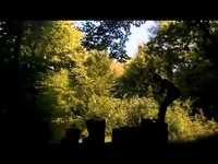 pochette album Les combattants de la spirale d'or