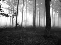 pochette album With this song i will destroy myself.