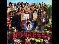 pochette album Tema dei monkees