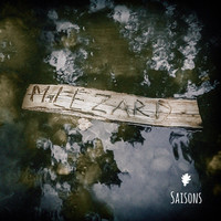 pochette album Saisons