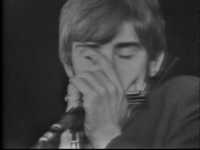 pochette album Bye bye bird