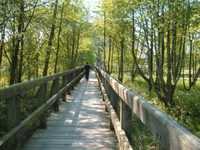 pochette album Dear diary