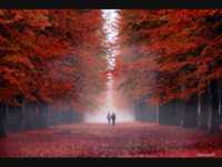 pochette album Forever autumn