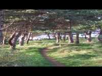 pochette album How is it