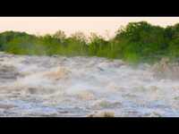 pochette album Meanwhile