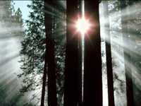 pochette album Never blame the rainbows for the rain