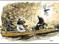 pochette album Nice to be here