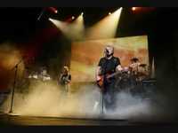 pochette album Shadows on the wall