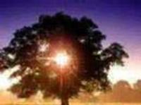 pochette album The balance