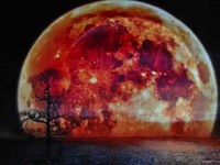 pochette album The day begins