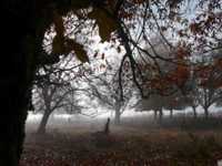 pochette album The day we meet again