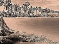 pochette album The river of endless love