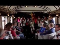 pochette album The swallow