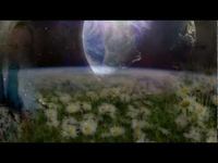 pochette album The voice