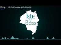 pochette album I will find you