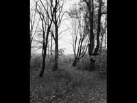 pochette album Meren re (dobranoc)