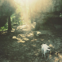 pochette album Burrow