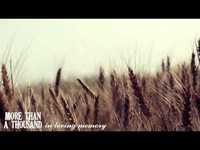 pochette album In loving memory