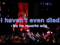 pochette album I'll never be anybody's hero now