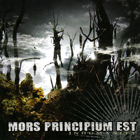 pochette album Into illusion