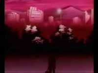 pochette album D.w.a.m.