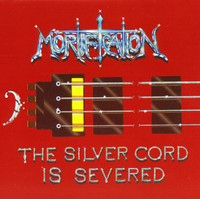 pochette album The silver cord is severed