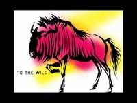 pochette album To the wild