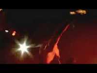 pochette album Mutherfucker of the year