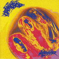 pochette album Home of the brave