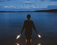 pochette album Violent night