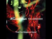 pochette album First few desperate hours