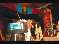 pochette album The ballad of marion fruvous