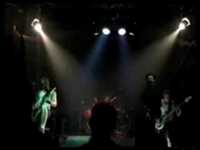 pochette album For the love of pig brother