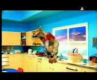 pochette album Simbaleo