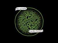 pochette album Render me